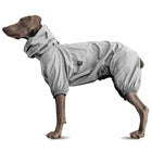 Lightweight Dog Windbreaker for Outdoor Adventures-Grey