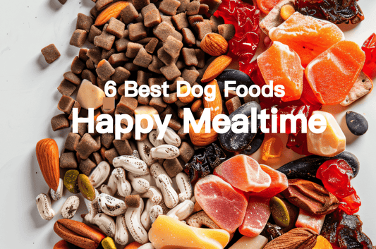 6 Best Dog Foods for a Happy Mealtime - PETT2GO