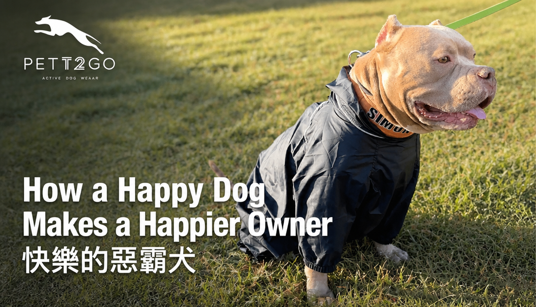 How a Happy Dog Makes a Happier Owner