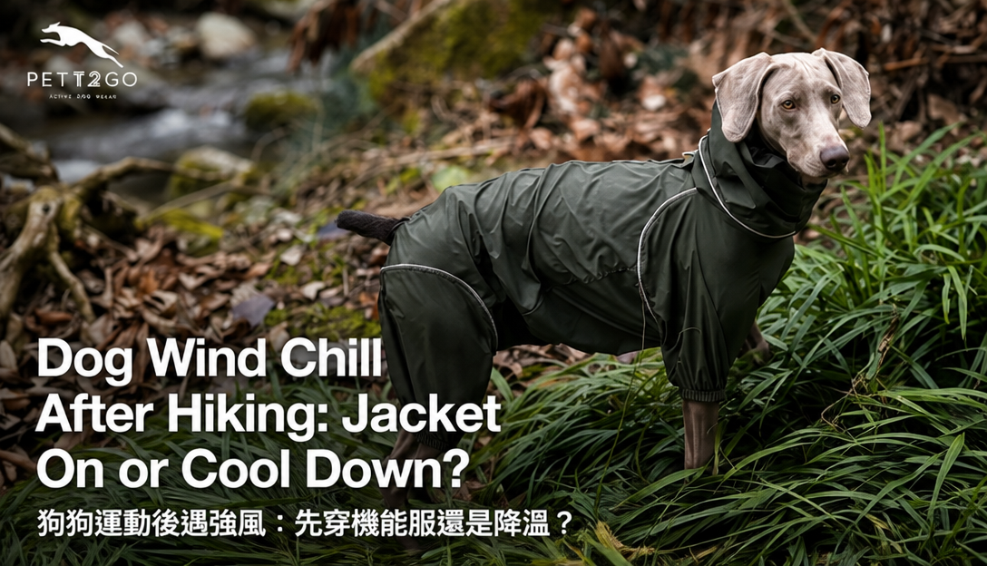After a Mountain Hike, Should My Dog Wear a Jacket or Cool Down First?