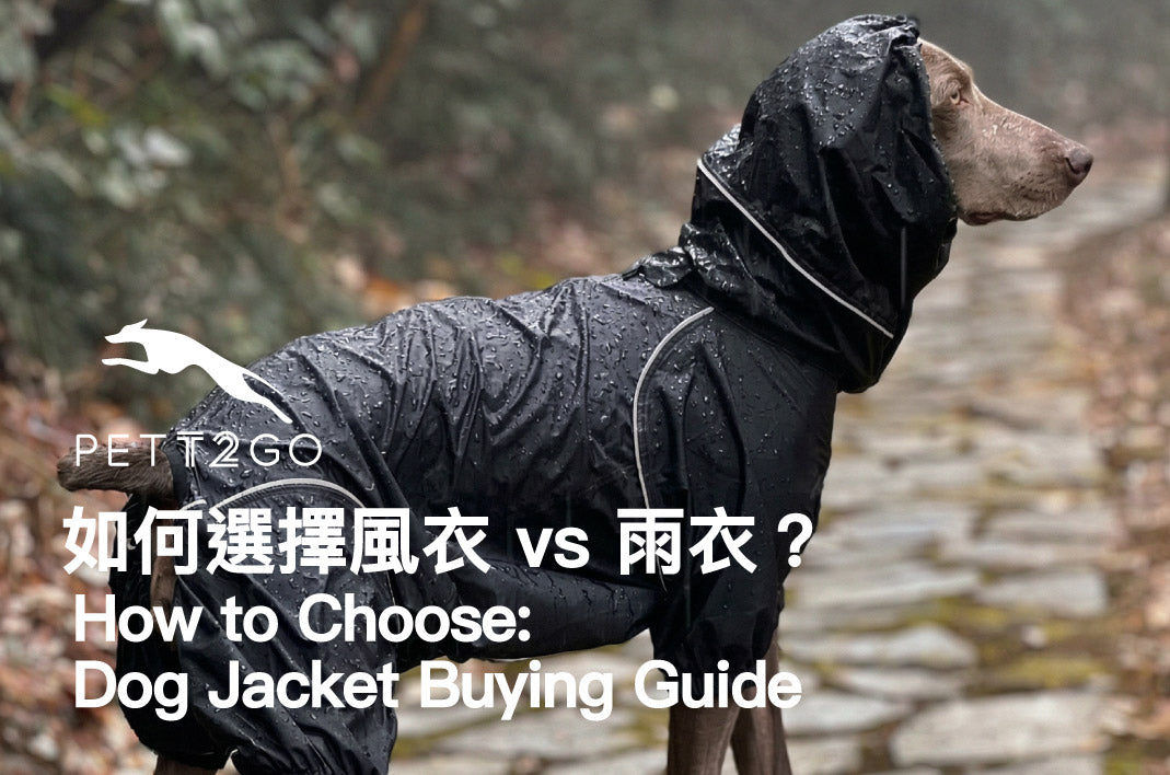 PETT2GO Windbreaker vs. Raincoat: How to Choose