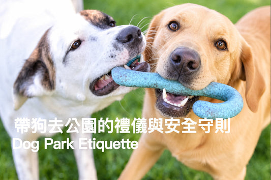 Dog Park Etiquette and Safety Guide: 10 Rules for Every Walk
