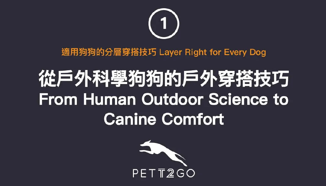 PETT2GO-Layer-Right-for-Every-Dog-1-of-3 PETT2GO
