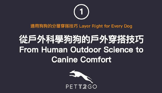 PETT2GO-Layer-Right-for-Every-Dog-1-of-3 PETT2GO