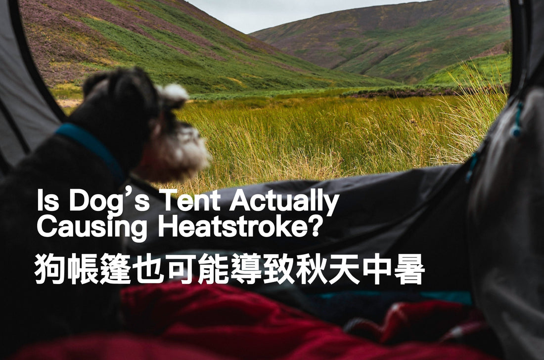 Is-Dog-s-Tent-Actually-Causing-Heatstroke PETT2GO