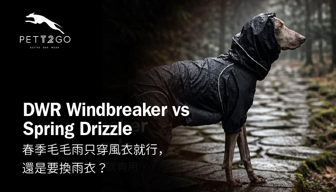 DWR Windbreaker vs Spring Drizzle: Enough or Need Raincoat?