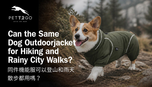 Can I Use the Same Dog Jacket for Hiking and Rainy City Walks?