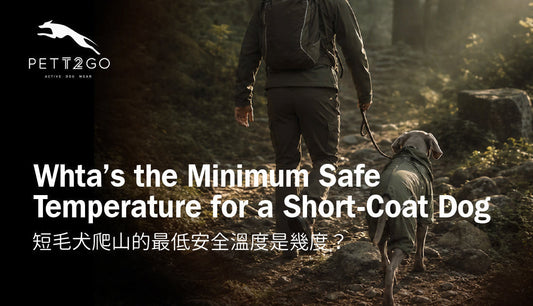 What's the Minimum Safe Temperature for a Short-Coat Dog on a 2-Hour Mountain Hike?