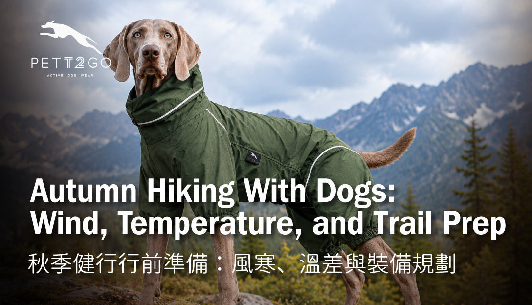 Autumn Hiking With Dogs: Wind, Temperature, and Trail Prep