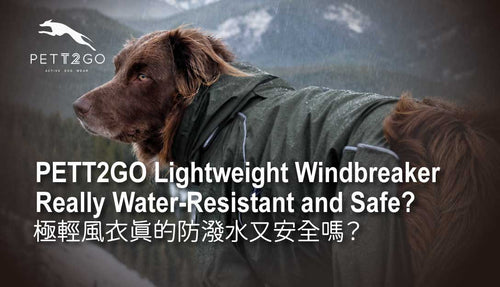 Is PETT2GO's Lightweight Windbreaker Really Water-Resistant and Safe? Reading the Third-Party Test Data
