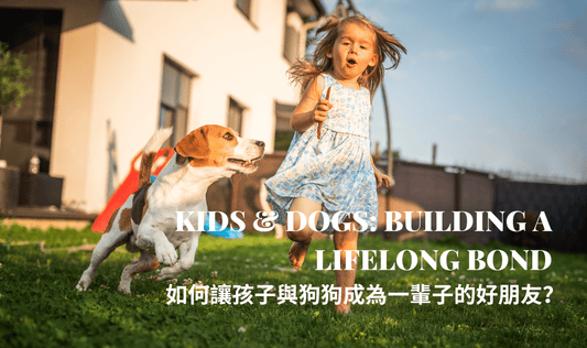 Building Strong Bonds: How to Foster a Friendly Relationship Between Dogs and Children - PETT2GO