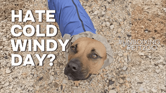 Cold and Windy Days? Bring It On! My Tripod Pitbull Thrives in PETT2GO Gear! - PETT2GO