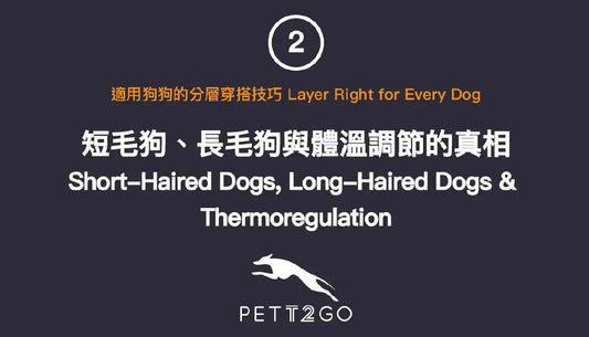 Layer Right for Every Dog 02 — Short-Haired Dogs, Long-Haired Dogs & Thermoregulation - PETT2GO