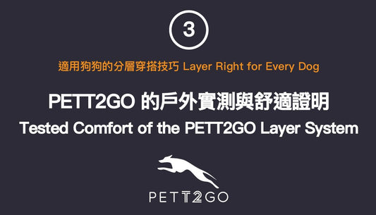 Layer Right for Every Dog 03 — Tested Comfort of the PETT2GO Layer System - PETT2GO