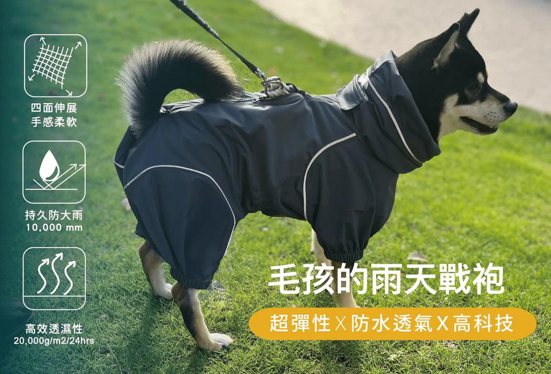 [台灣專屬] PETT2GO 極輕彈性防水雨衣｜嘖嘖早鳥強勢預約中！ - PETT2GO