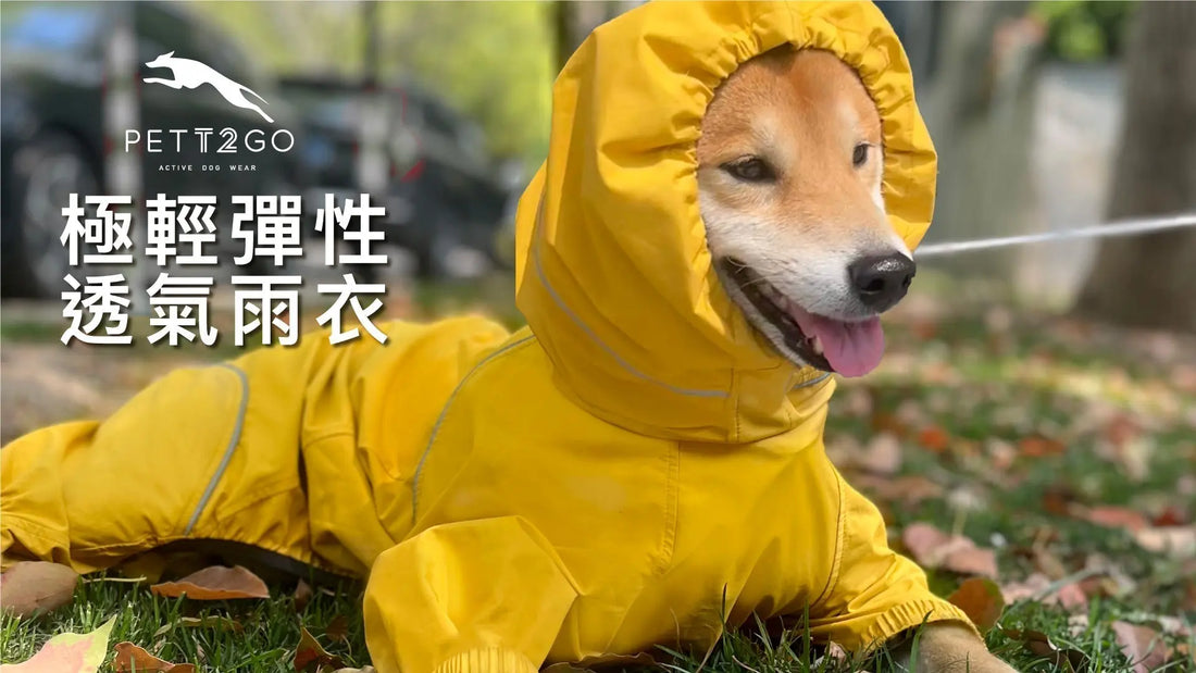 Quick On/Off: PETT2GO Breathable Raincoat - PETT2GO