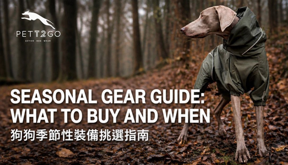 Seasonal Gear Guide: What to Buy and When for Pup - PETT2GO