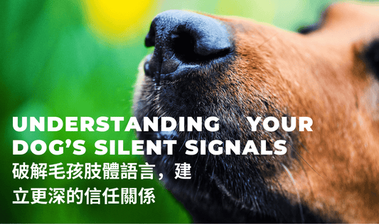 Understanding Your Dog’s Silent Signals - PETT2GO