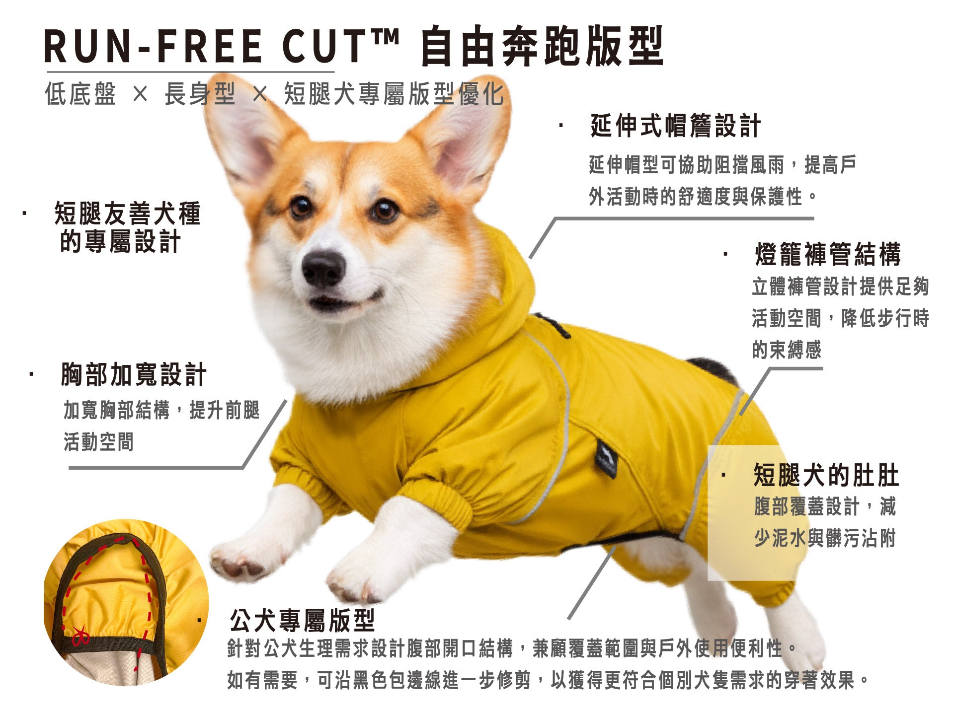 Dog wearing a yellow raincoat with text and illustrations on a white background