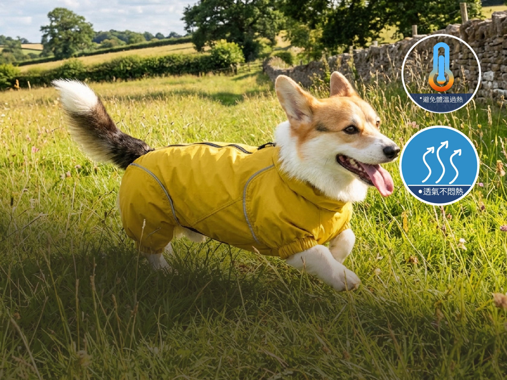 Dog wearing a yellow raincoat in a grassy field with product feature icons.