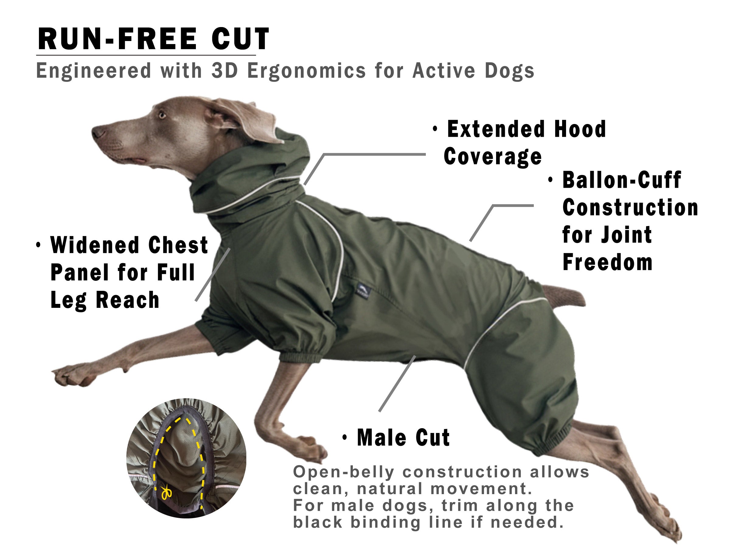 Weimaraner  wearing a green outdoor windbreaker with features highlighted RUN-FREE-CUT on a white background