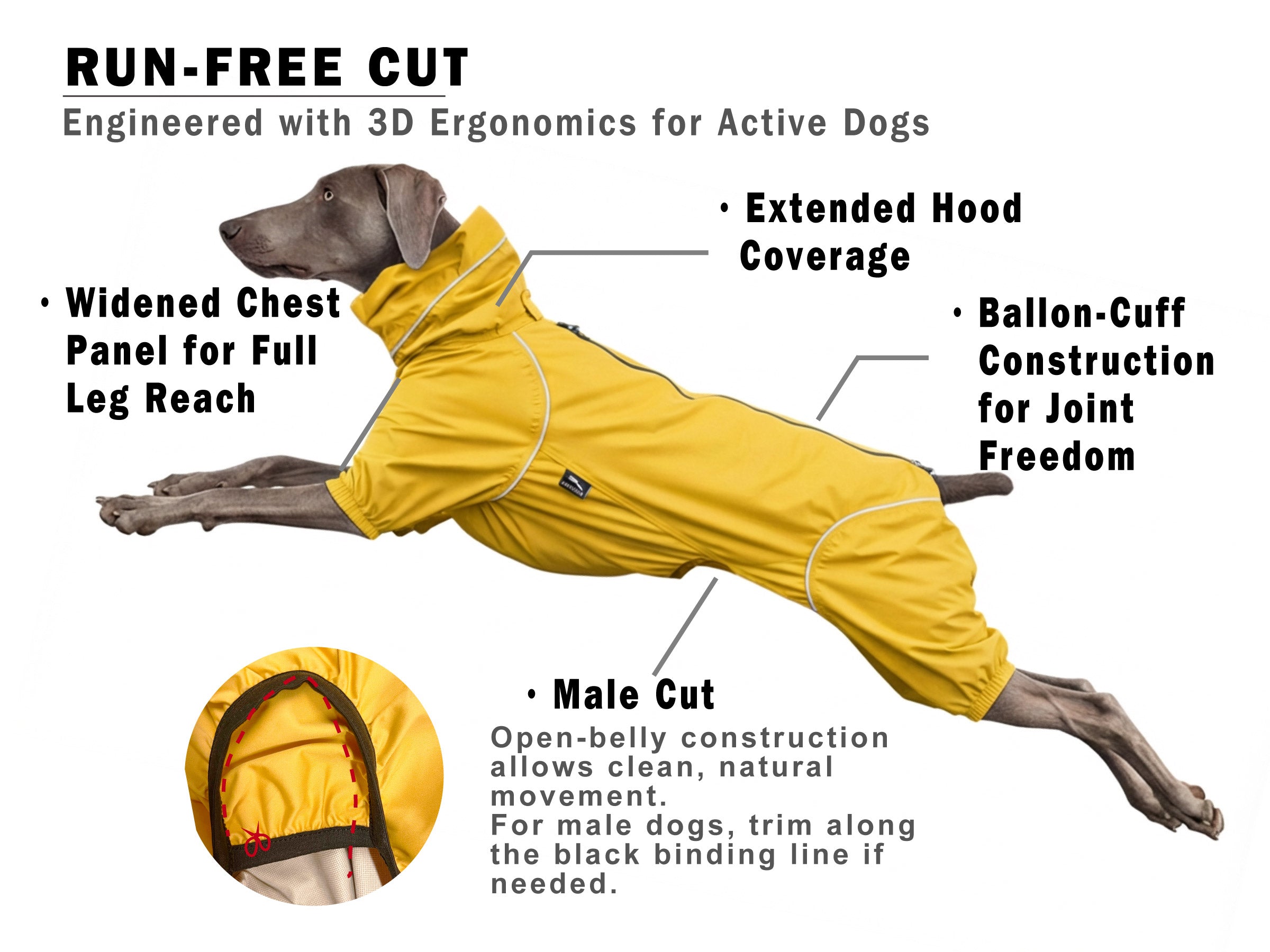 Dog wearing a yellow raincoat with features highlighted  PETT2GO run-Free Cut on a white background