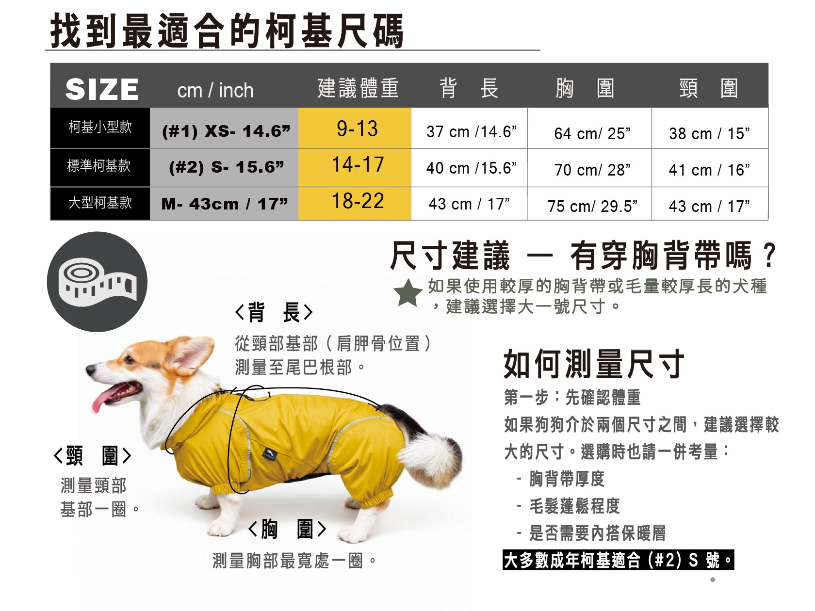 Dog coat size chart with a Corgi wearing a yellow coat on a white background