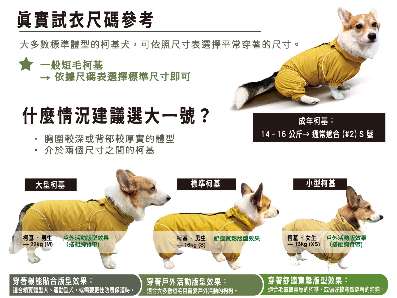 Dog wearing a yellow coat with size chart and information in Chinese