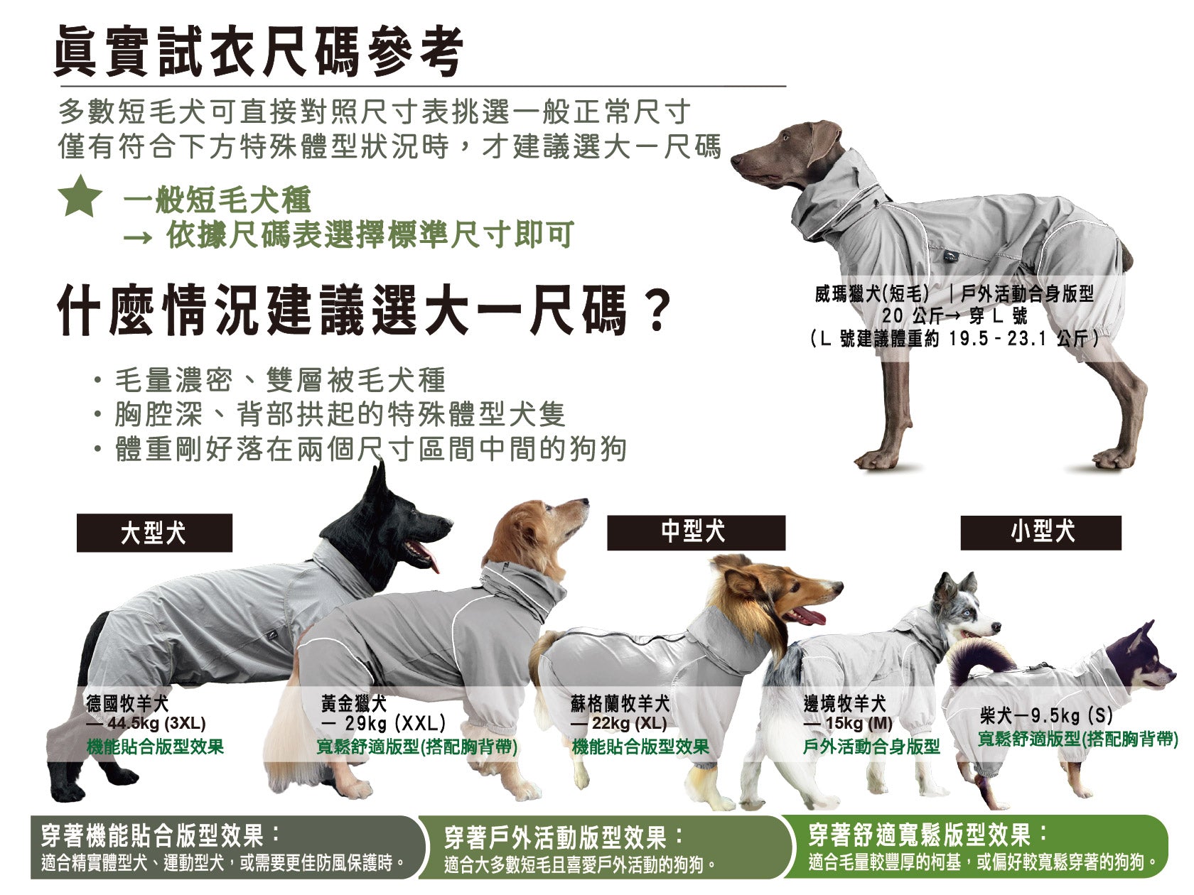 Dog clothing size chart with various dog breeds wearing the garment.