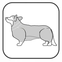 Full belly coverage + full freedom of movement