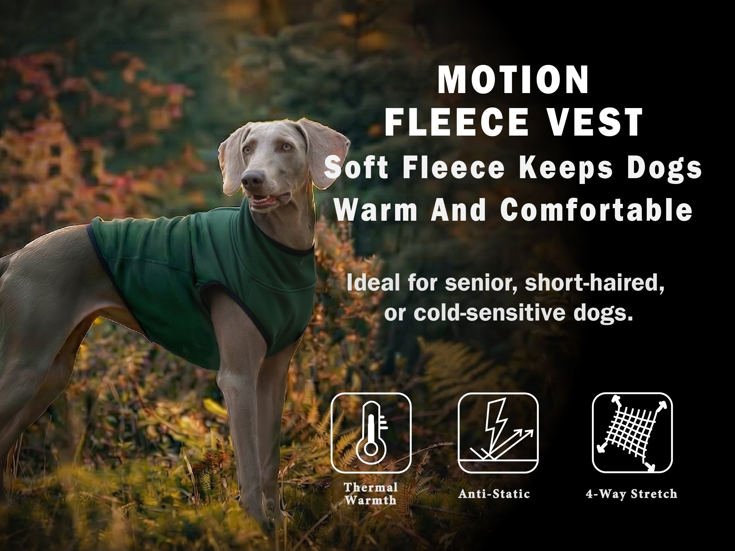PETT2GO-active dog running outdoors wearing lightweight fleece dog sweater for trail walks in cold days.