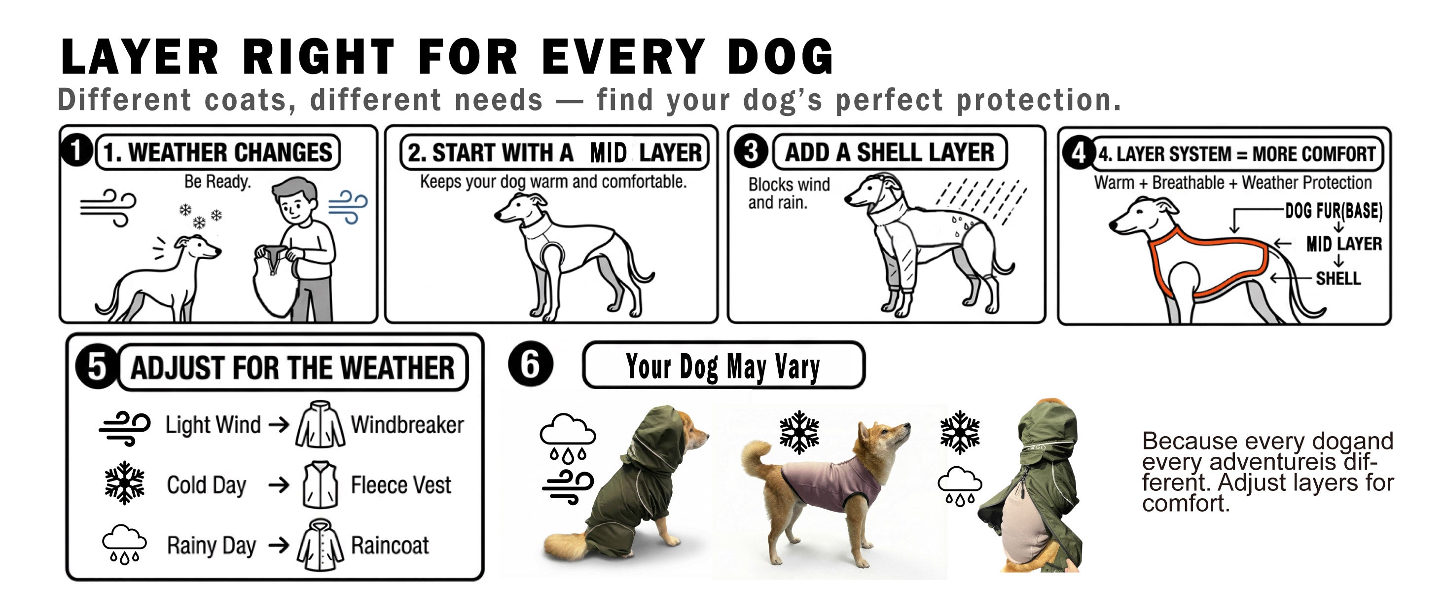PETT2Go layering guide: The base layer and outer shell combination for active dogs in high-altitude hiking.