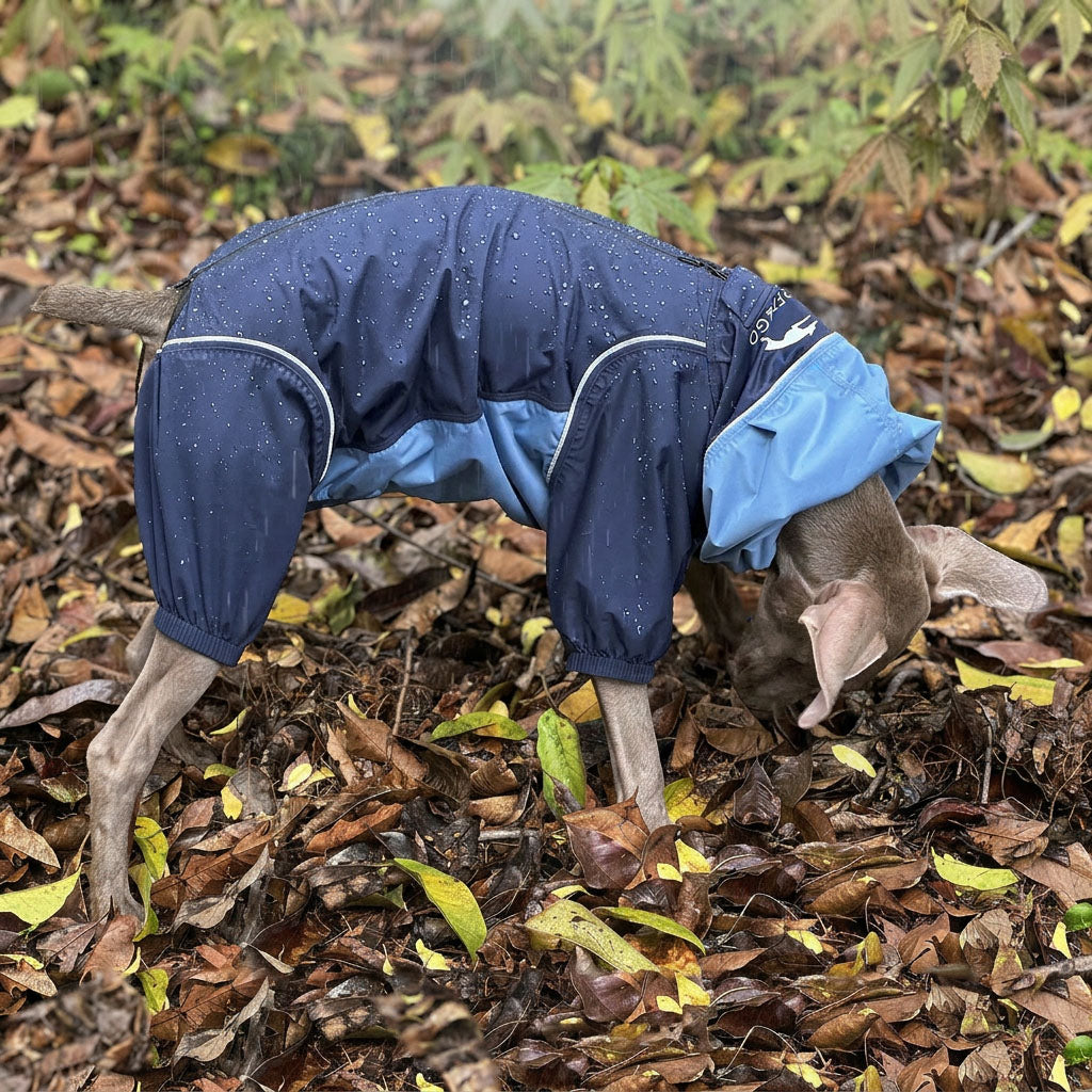 Best raincoat for Hound Weimaraner: full coverage dog rain suit keeps dog clean after walks. dog coat that protects belly from mud and rain. outdoor dog clothing reduces grooming time. 