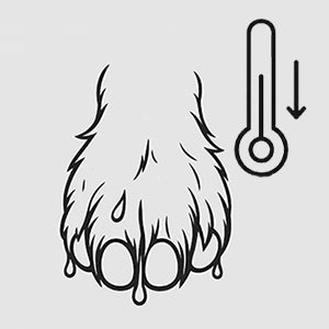 Illustration of a paw with fur and a thermometer icon on a light gray background
