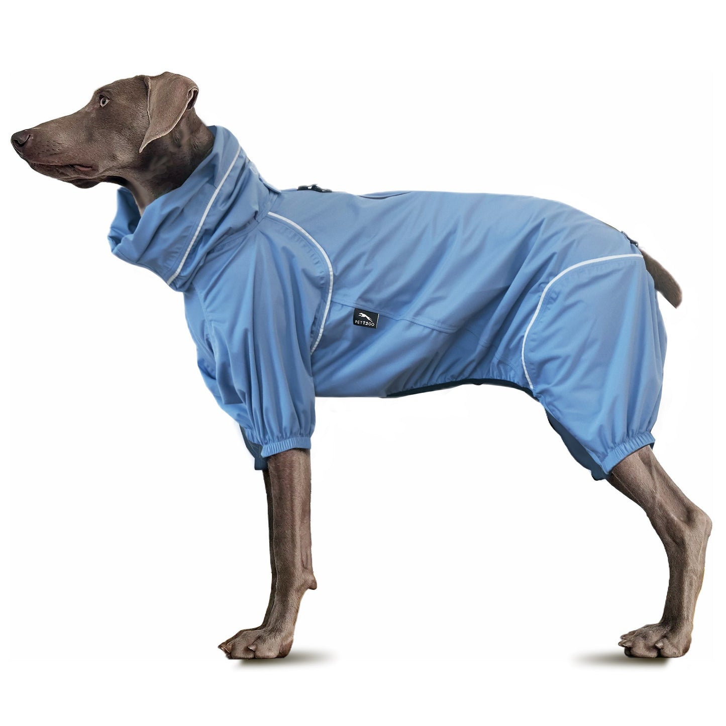 Dog Breathable Raincoat With Legs -Silence of Mist - PETT2GO