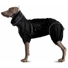 Lightweight Dog Windbreaker for Outdoor Adventures-Coal Black