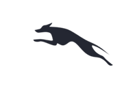 <strong>自在奔跑</strong>