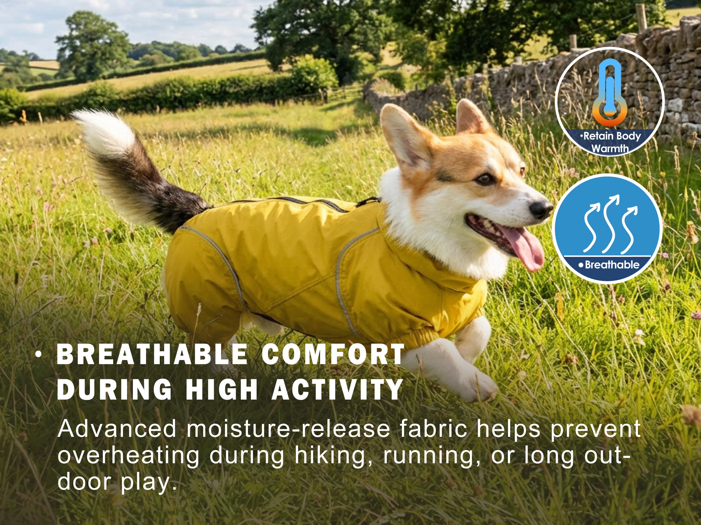 Breathable waterproof dog raincoat for active Corgis helps prevent overheating during hiking, running, and long outdoor play