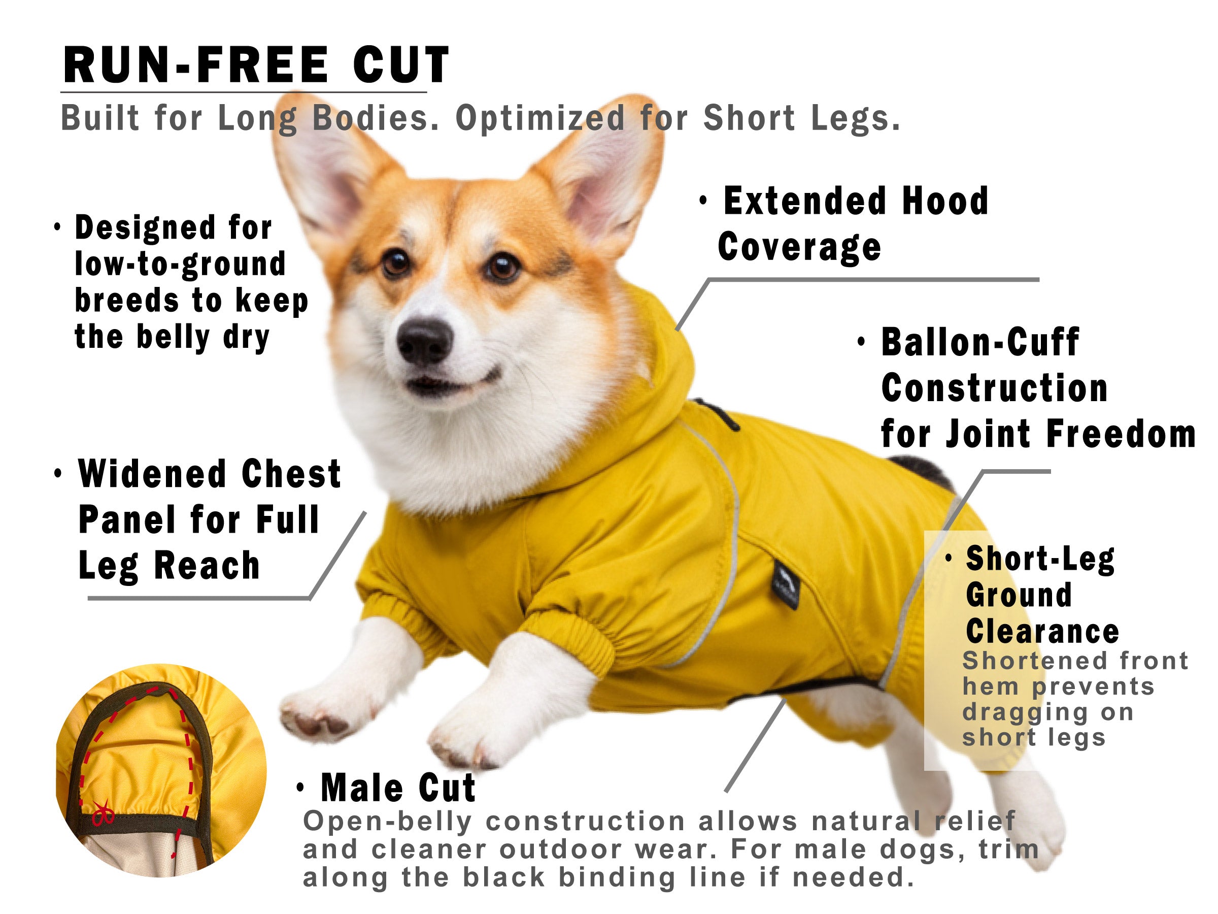 Ergonomic Corgi raincoat design with run-free cut for short legs, long body fit, dry belly coverage, and natural movement