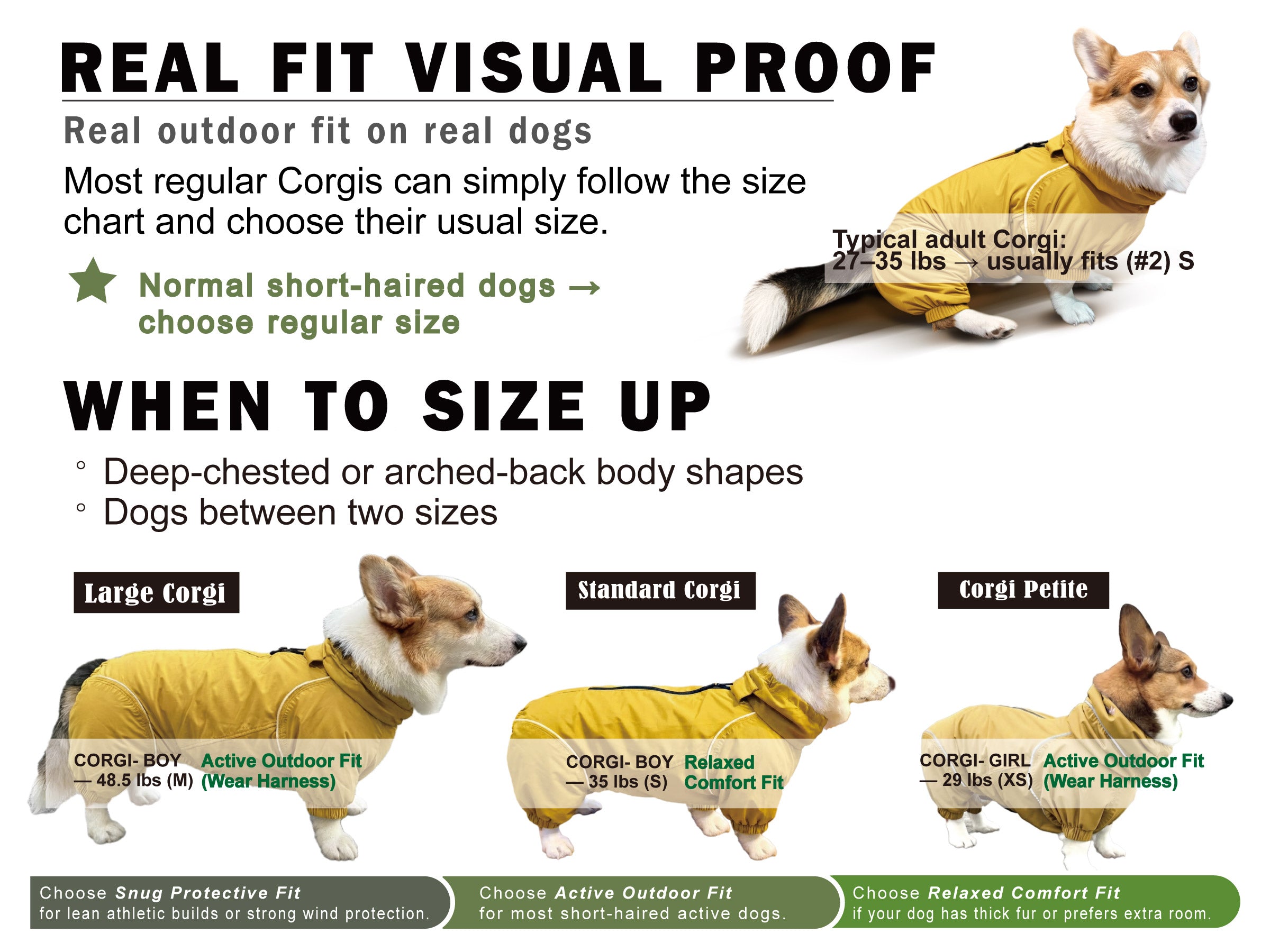 Corgi raincoat size guide with real fit examples showing petite, standard, and large Corgi body types and when to size up