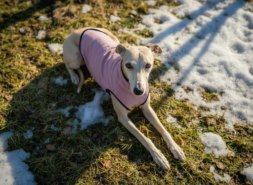 Best dog sweater for Hound Weimaraner: Lightweight outdoor dog warm wear for damp and cool weather walks, Full Freedom of Movement.